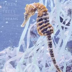 <strong>Taken By Trees - Dreams</strong> (Vinyl 12)