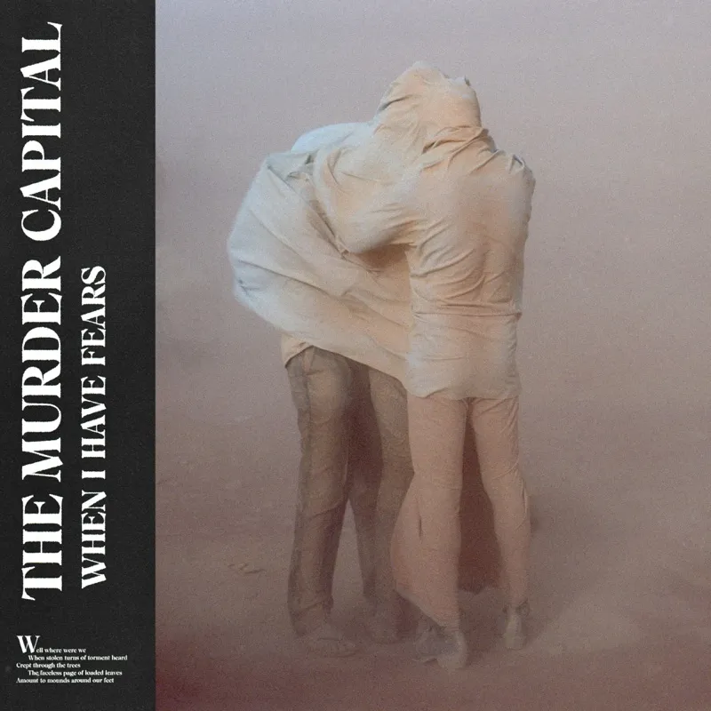 <strong>The Murder Capital - When I Have Fears</strong> (Cd)