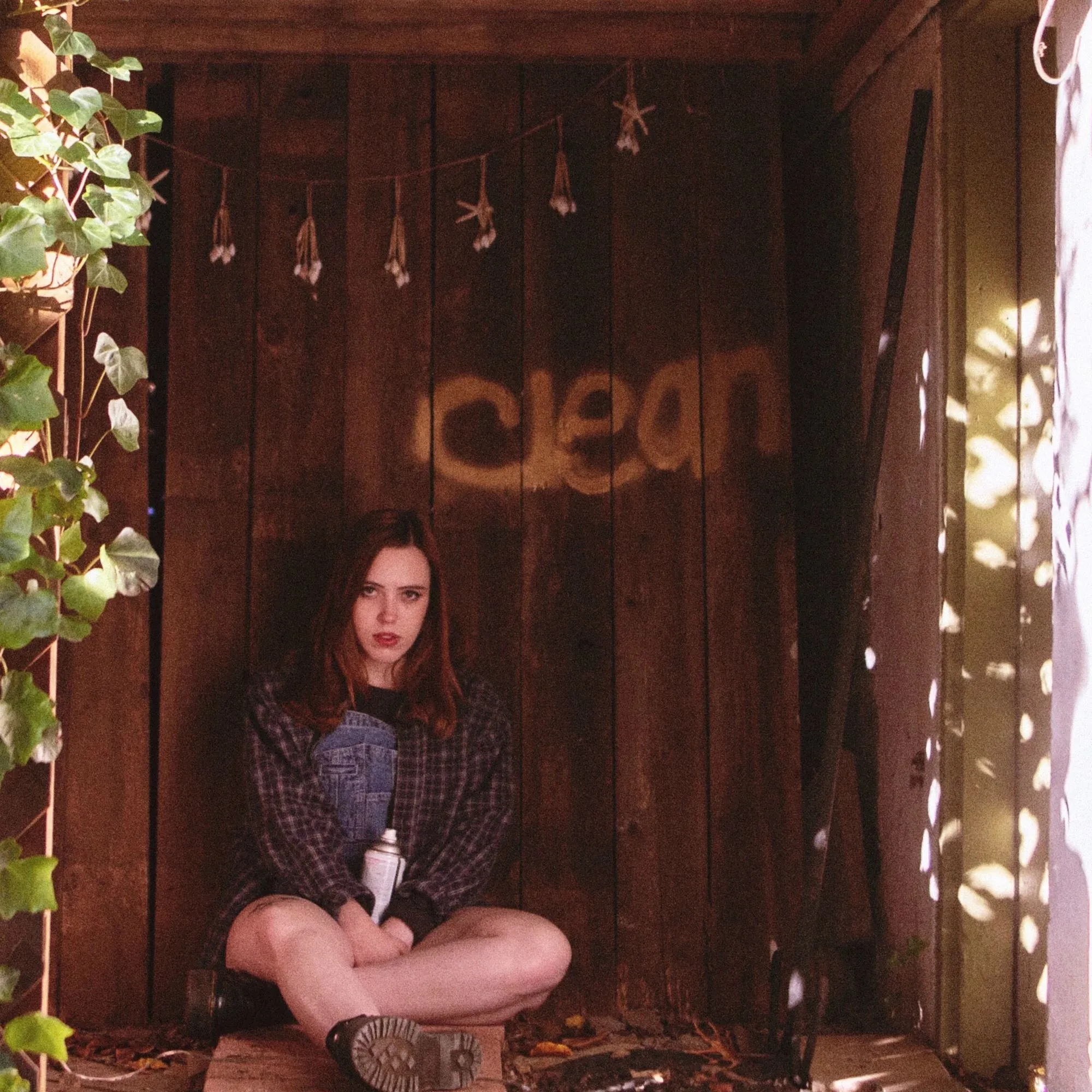 <strong>Soccer Mommy - Clean</strong> (Vinyl LP)