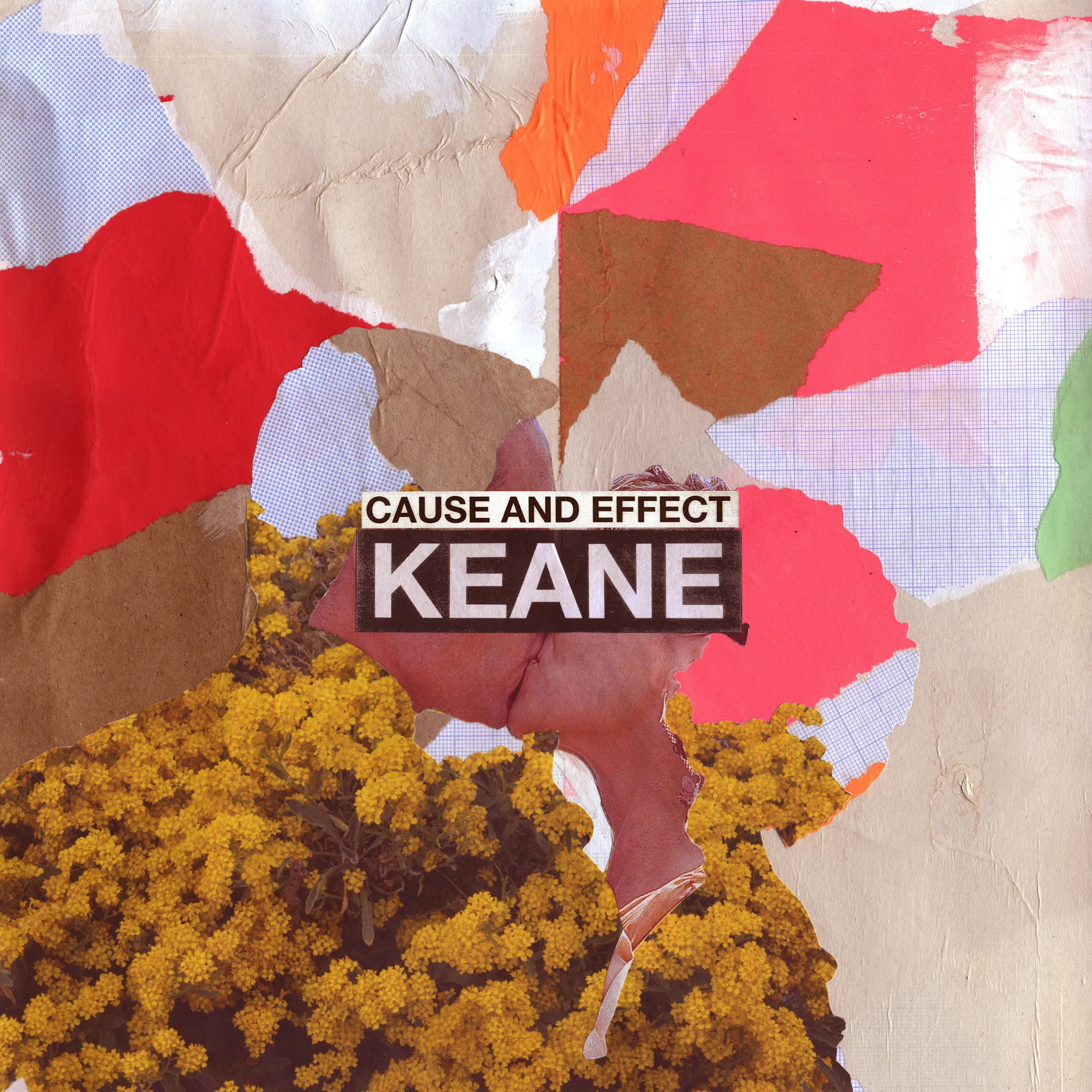 <strong>Keane - Cause and Effect</strong> (Vinyl LP - black)