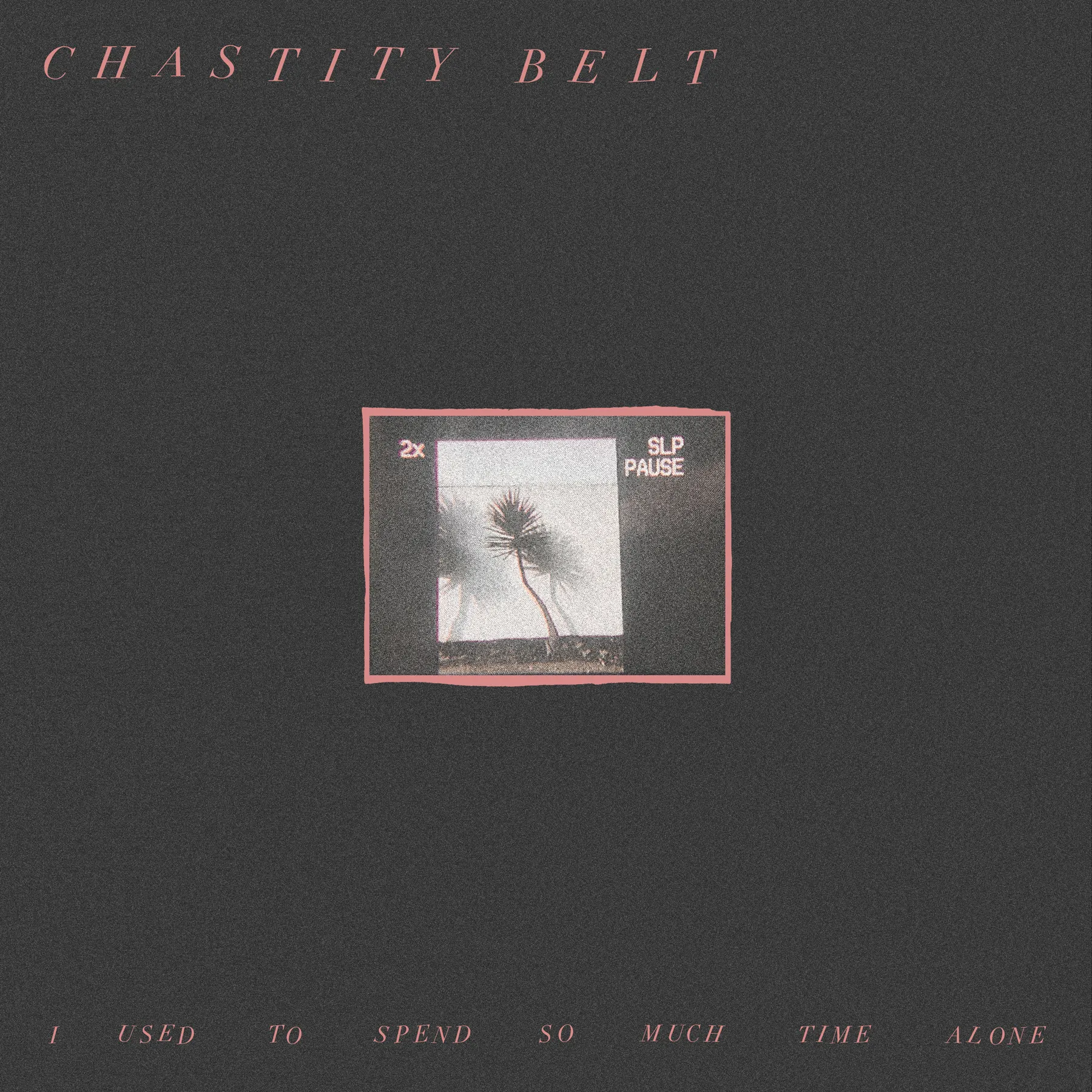 <strong>Chastity Belt - I Used To Spend So Much Time Alone</strong> (Vinyl LP)
