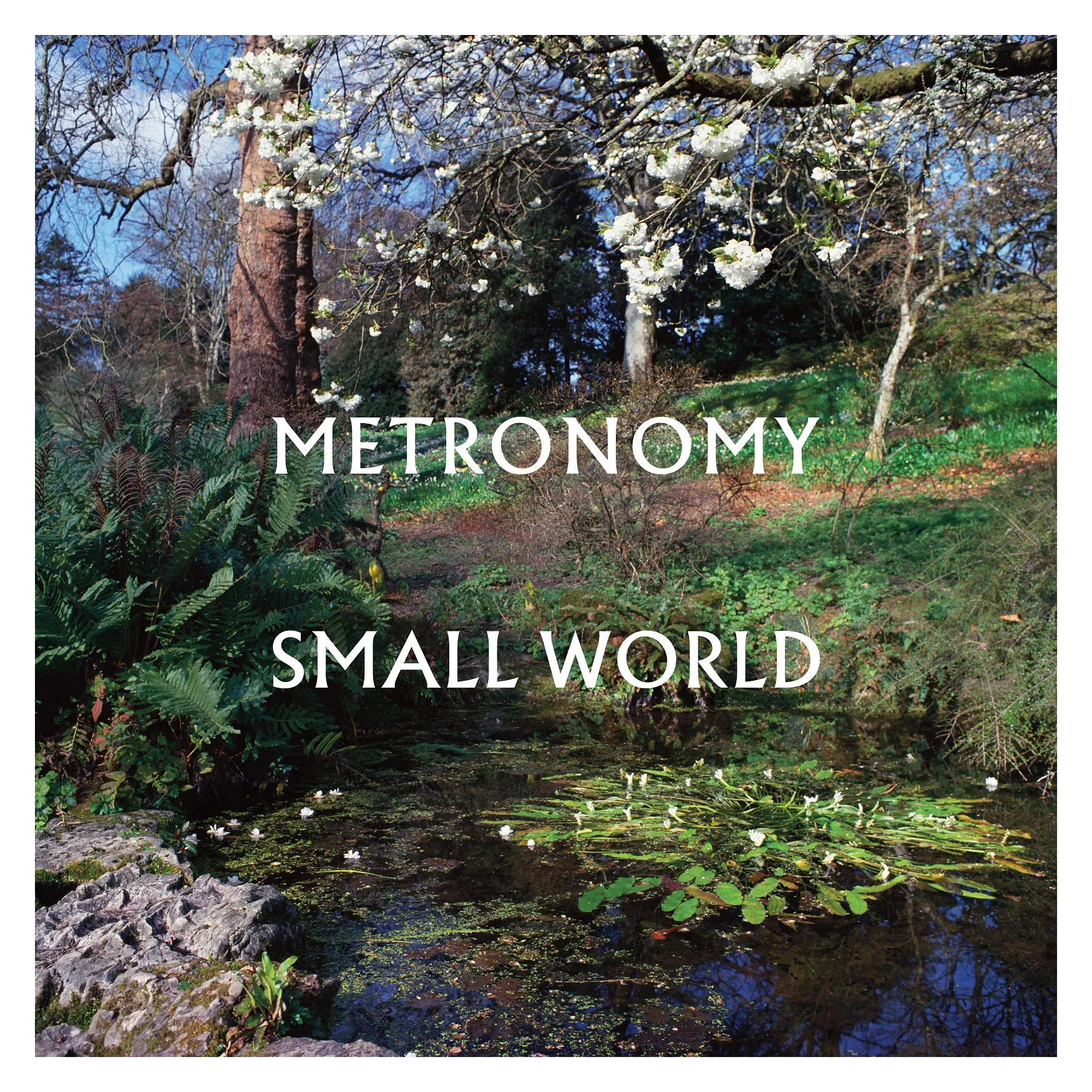 <strong>Metronomy - Small World</strong> (Vinyl LP - clear)