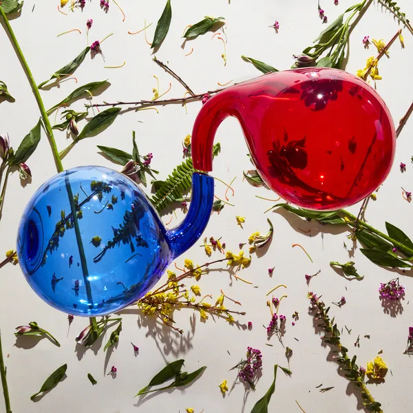 <strong>Dirty Projectors - Lamp Lit Prose</strong> (Cd)