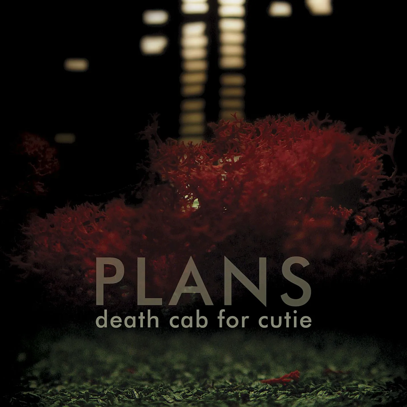 Death Cab for Cutie - Plans artwork