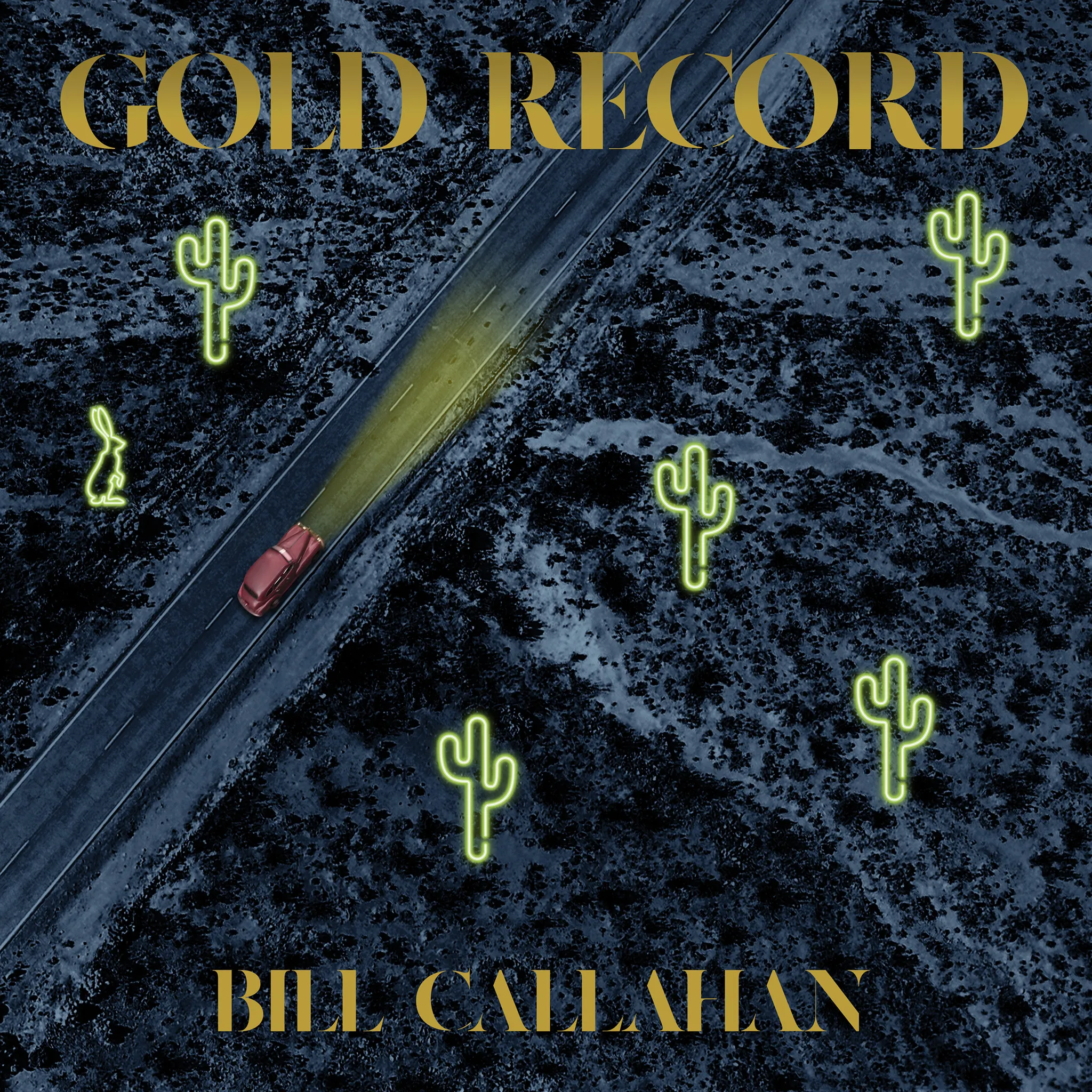 <strong>Bill Callahan - Gold Record</strong> (Vinyl LP - black)