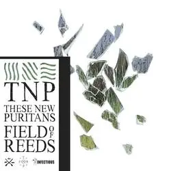<strong>These New Puritans - Field of Reeds</strong> (Cd)