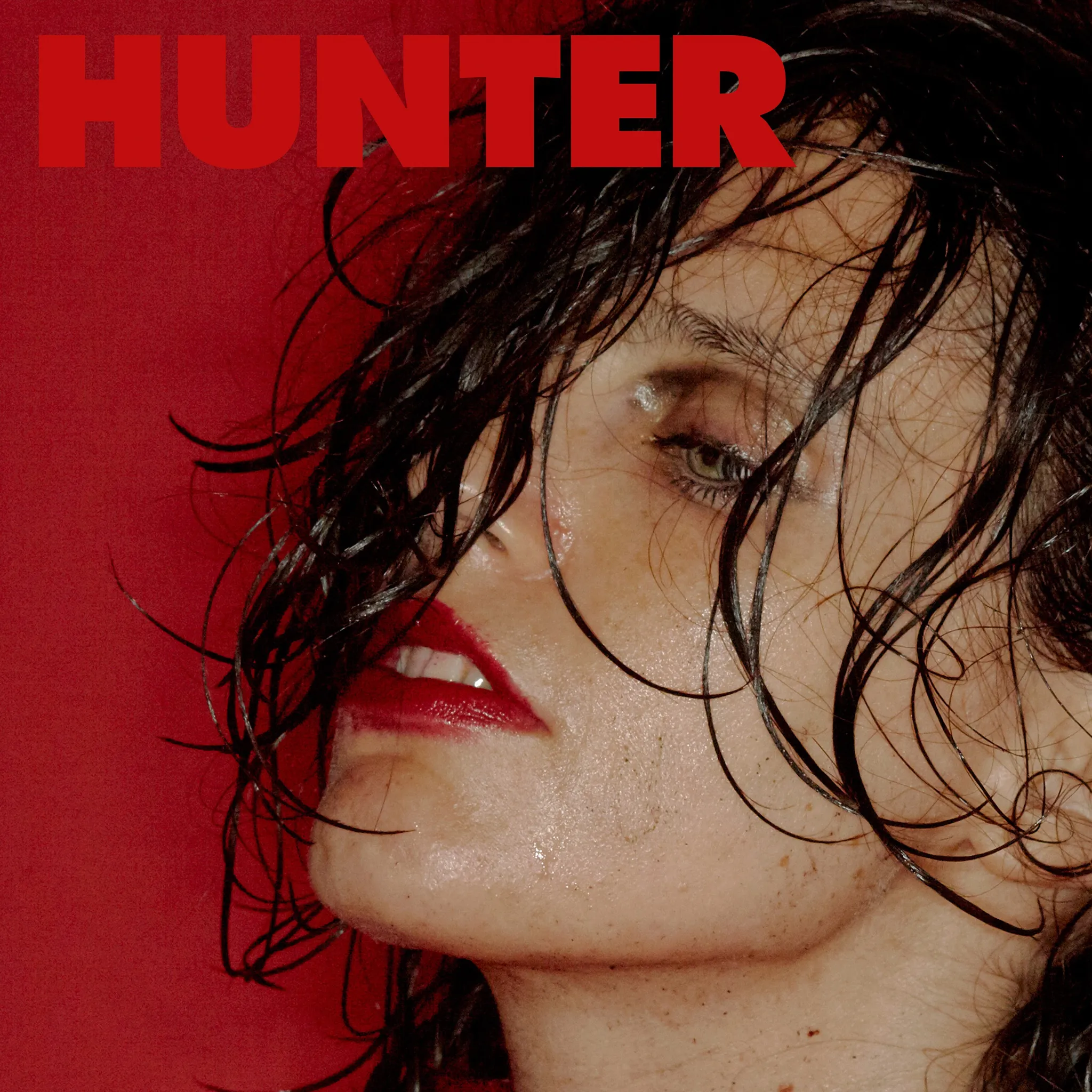 Buy Hunter via Rough Trade