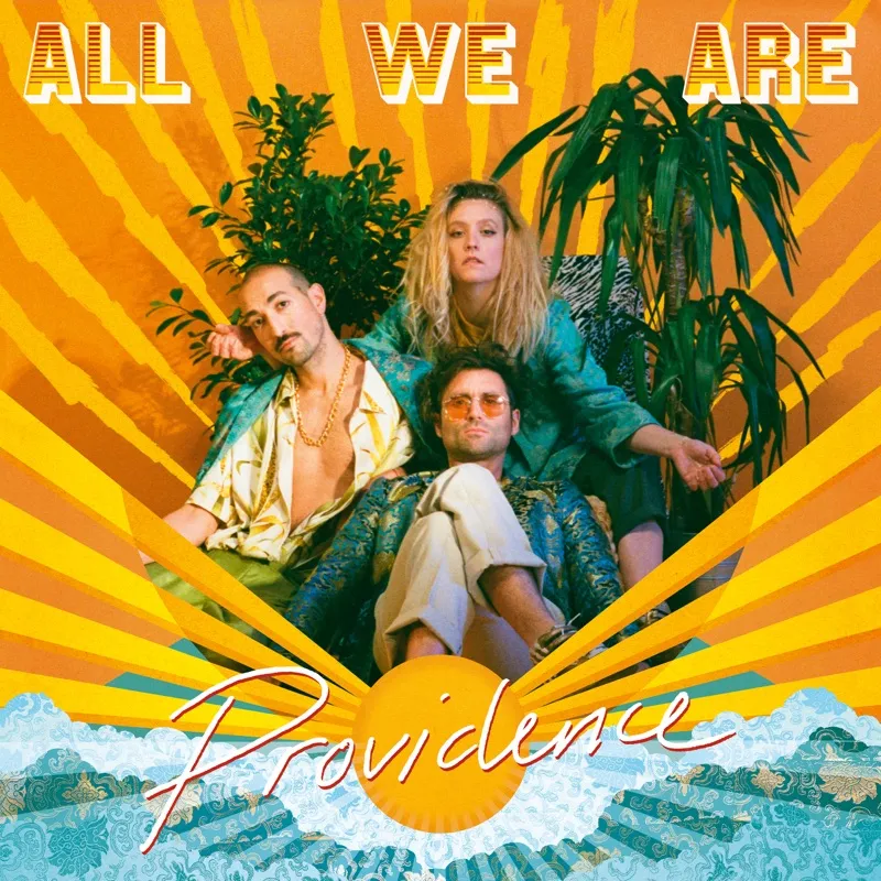<strong>All We Are - Providence</strong> (Vinyl LP - black)