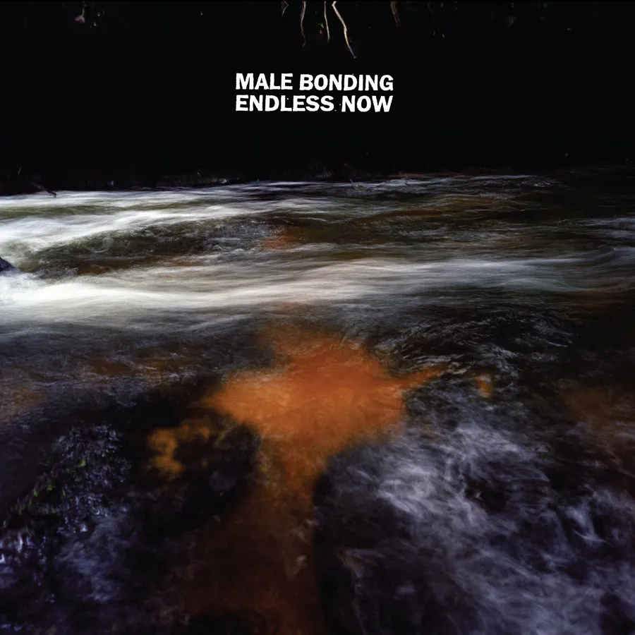 <strong>Male Bonding - Endless Now</strong> (Vinyl LP)