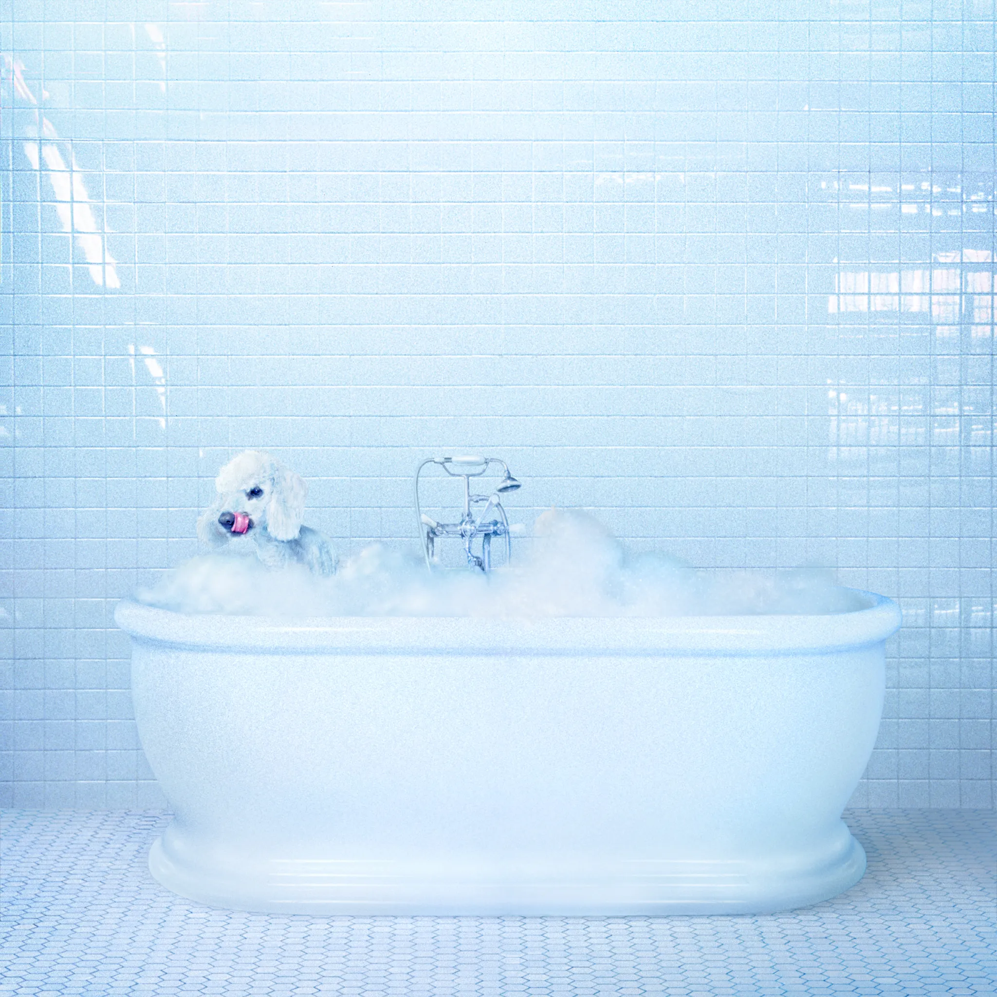 <strong>Frankie Cosmos - Vessel</strong> (Cd)