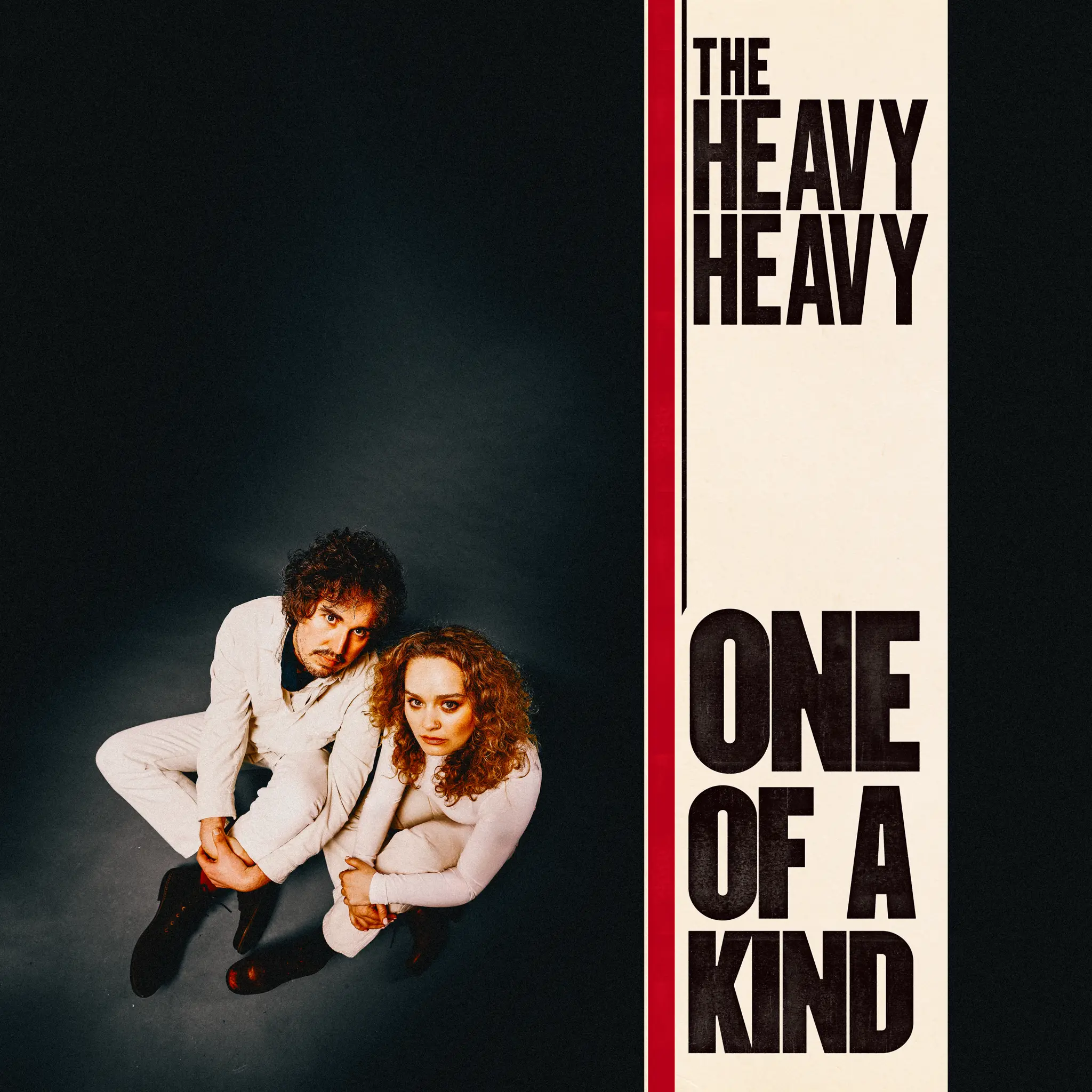 <strong>The Heavy Heavy - One of a Kind</strong> (Cd)
