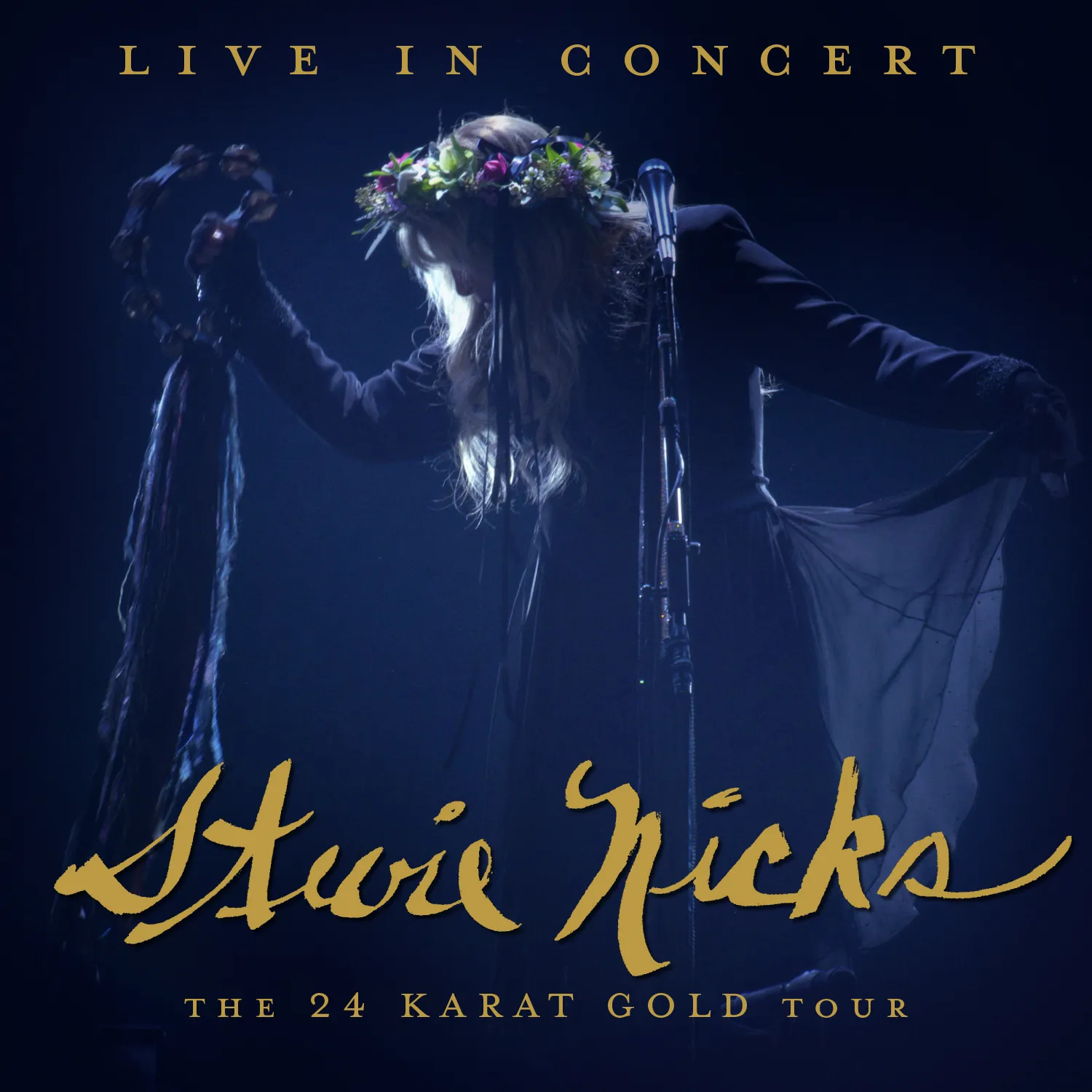 <strong>Stevie Nicks - Live In Concert The 24 Karat Gold Tour</strong> (Cd)
