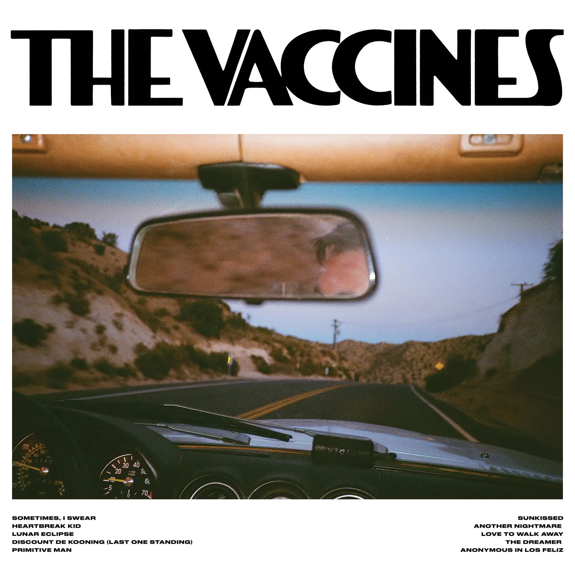 <strong>The Vaccines - Pick-Up Full Of Pink Carnations</strong> (Cd)