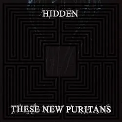 <strong>These New Puritans - Hidden</strong> (Cd)