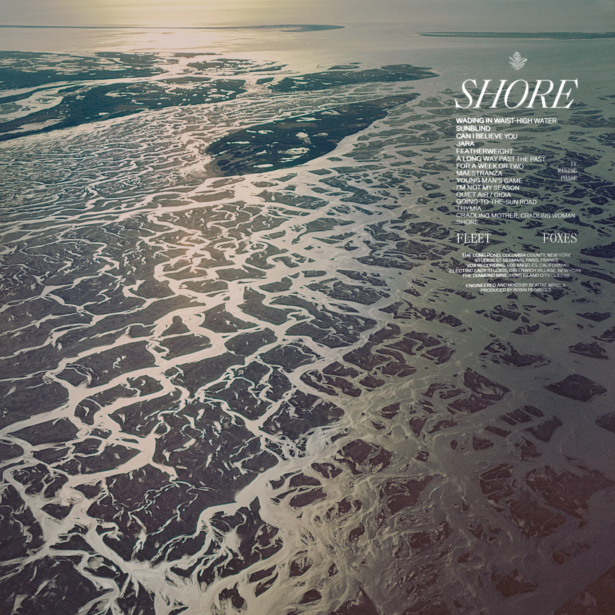 <strong>Fleet Foxes - Shore</strong> (Vinyl LP - black)