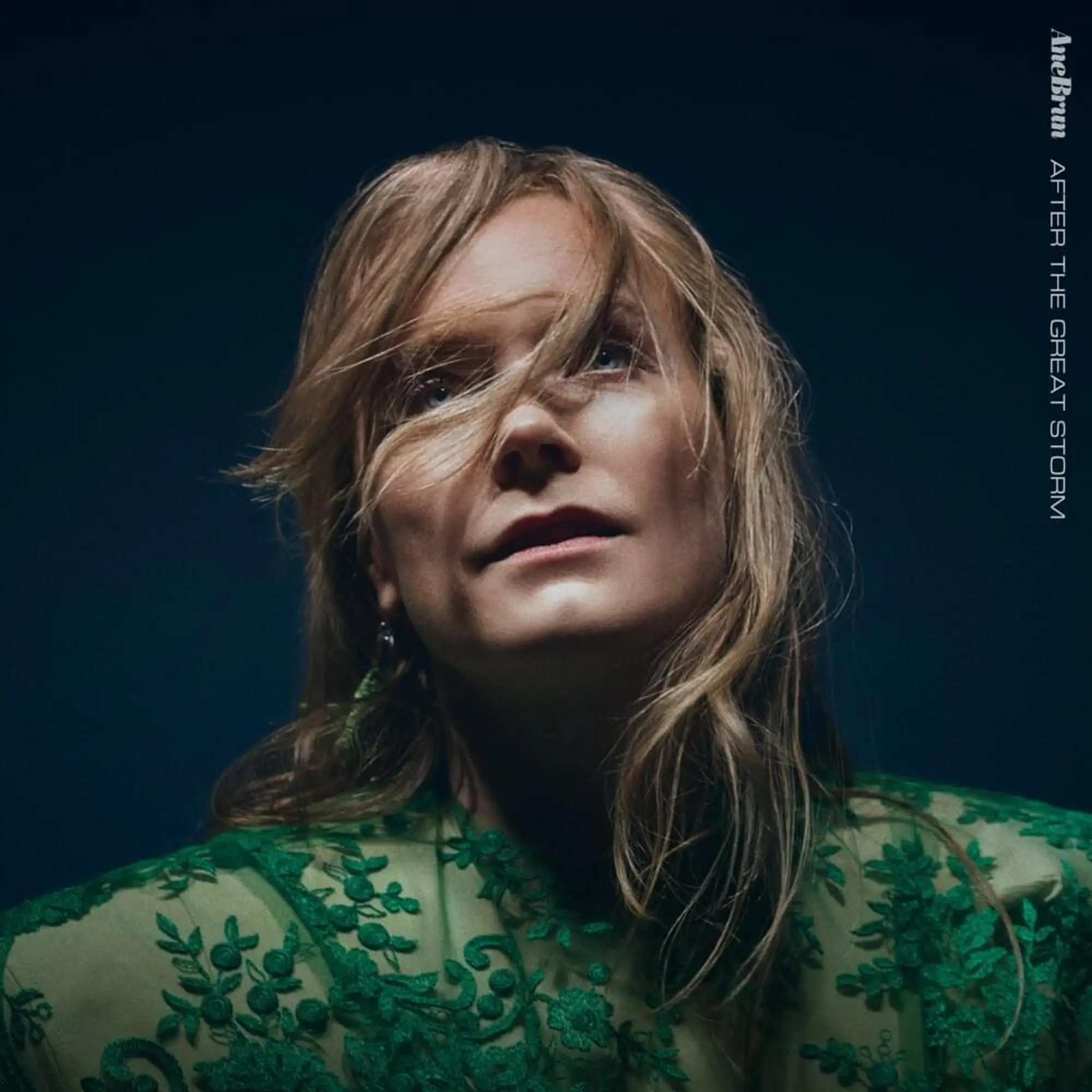 <strong>Ane Brun - After The Great Storm</strong> (Vinyl LP - green)