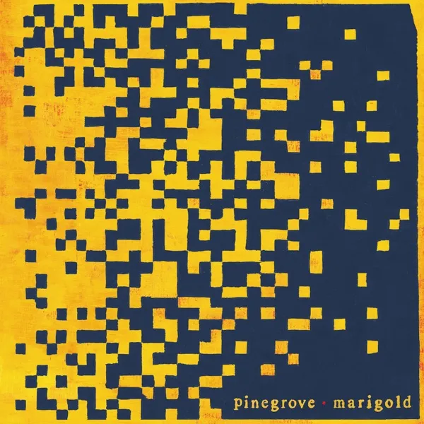 <strong>Pinegrove - Marigold</strong> (Vinyl LP - black)