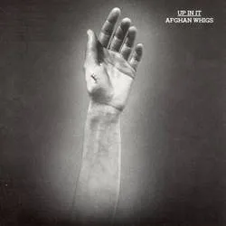 <strong>The Afghan Whigs - Up In It</strong> (Vinyl LP)