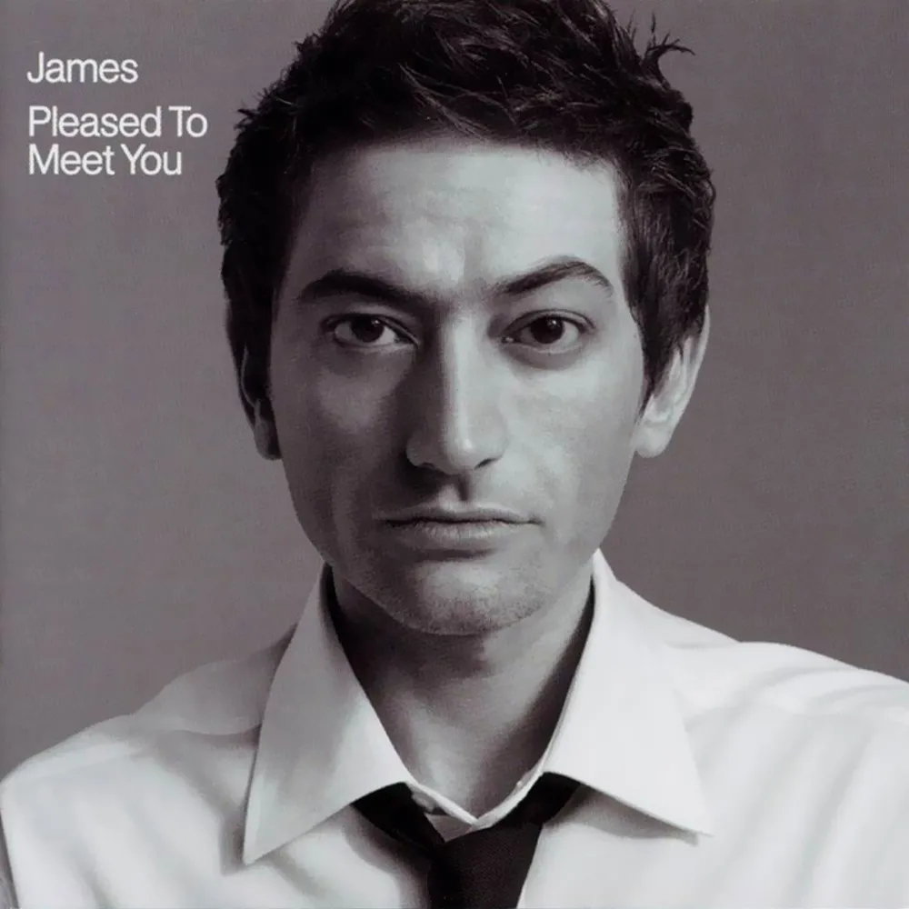 <strong>James - Pleased To Meet You</strong> (Vinyl LP - black)