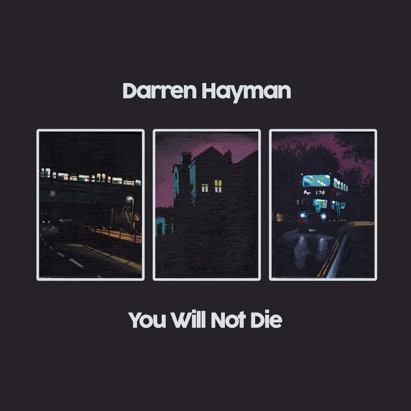 <strong>Darren Hayman - You Will Not Die</strong> (Vinyl LP - black)