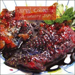 Animal Collective - Strawberry Jam artwork