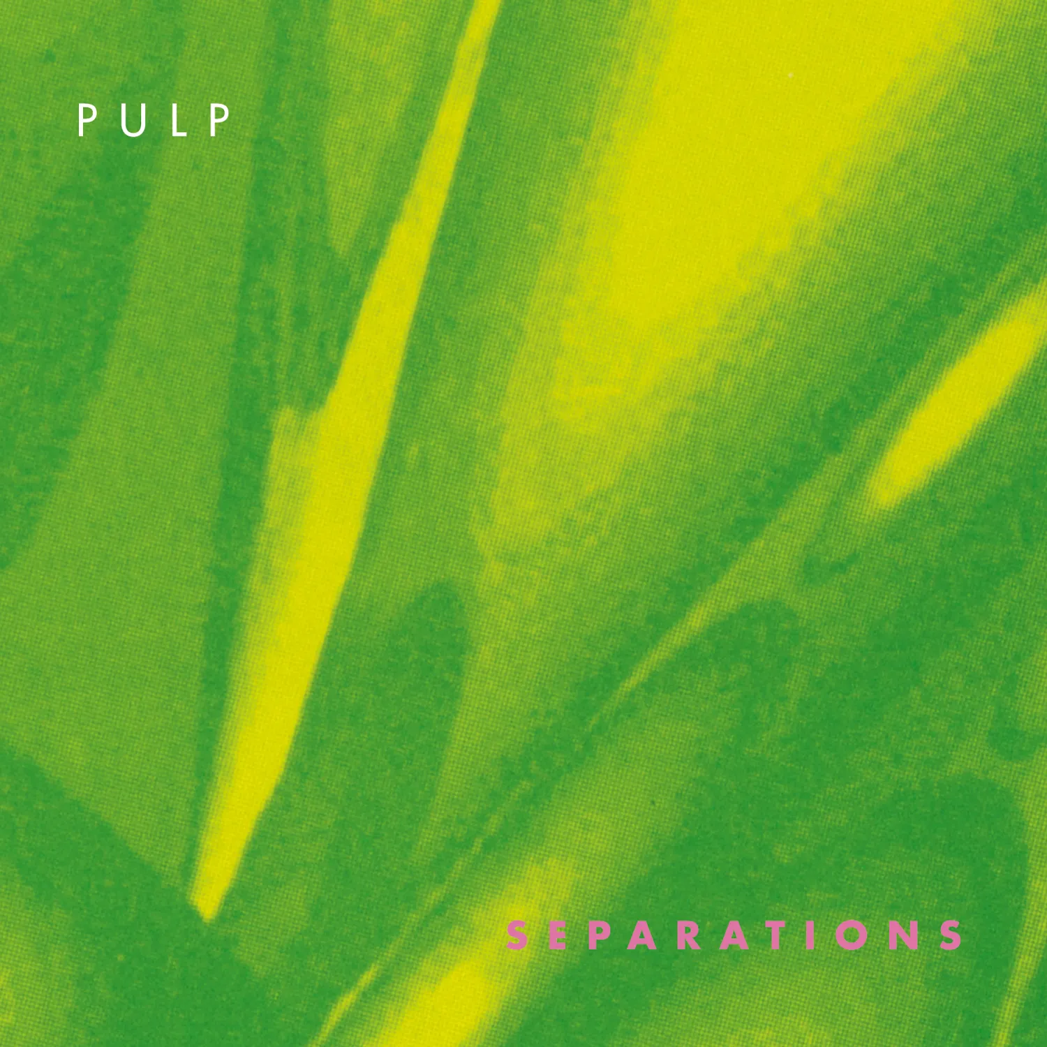 <strong>Pulp - Separations</strong> (Cd)