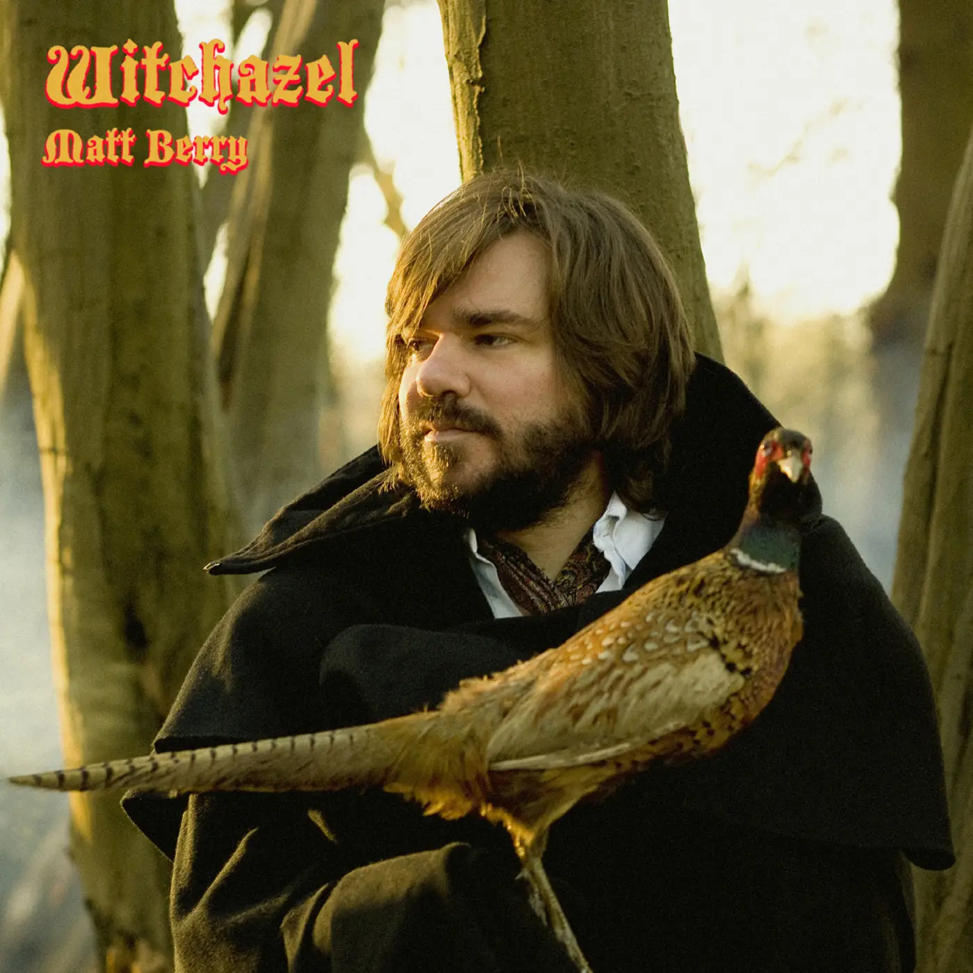 <strong>Matt Berry - Witchazel</strong> (Vinyl LP - brown)