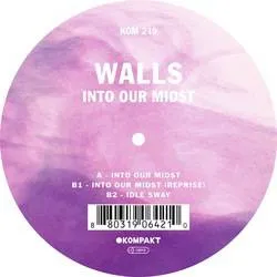 <strong>Walls - Into Our Midst</strong> (Vinyl 12)