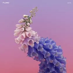Flume - Skin artwork