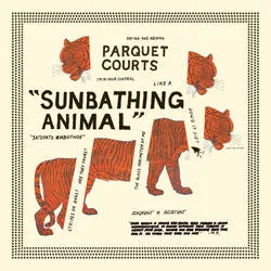 <strong>Parquet Courts - Sunbathing Animal</strong> (Cd)