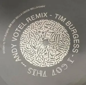 <strong>Tim Burgess - I Got This (Andy Votel Remix)</strong> (Vinyl 7)