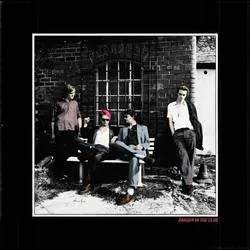 <strong>Palma Violets - Danger in the Club</strong> (Vinyl LP)