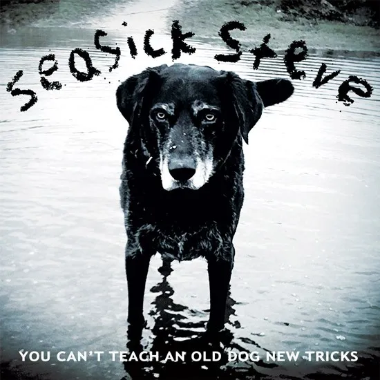 <strong>Seasick Steve - You Can't Teach An Old Dog New Tricks</strong> (Vinyl LP - black)