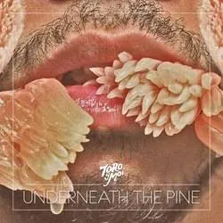 <strong>Toro Y Moi - Underneath The Pine</strong> (Cd)