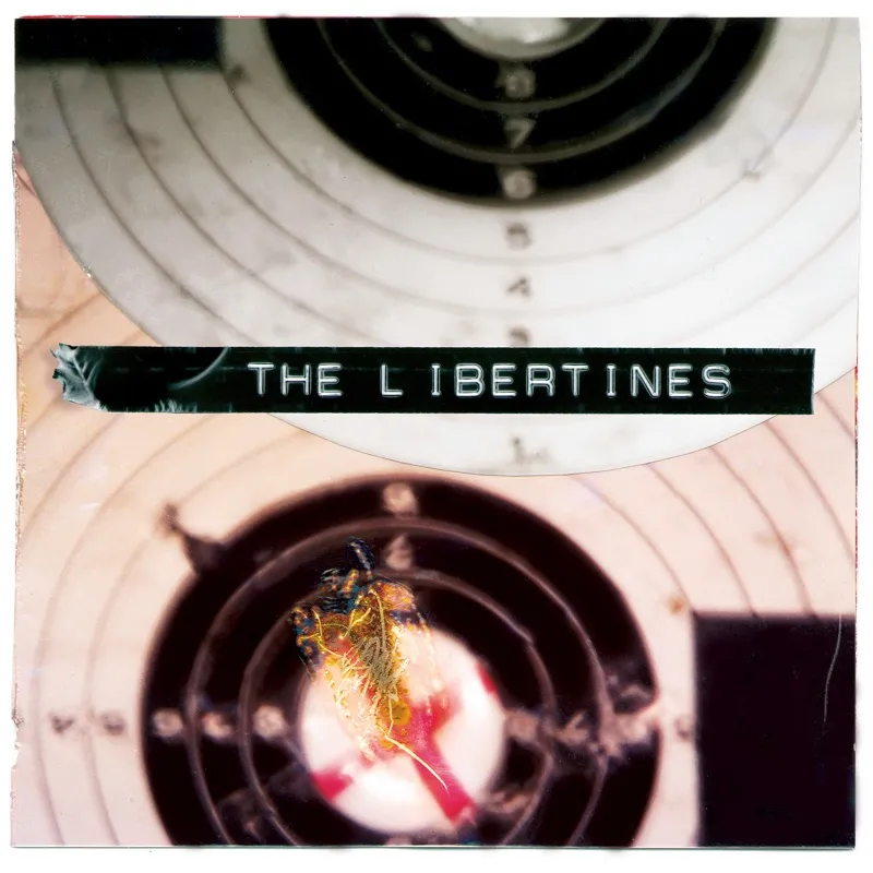<strong>The Libertines - What A Waster</strong> (Vinyl 7 - black)
