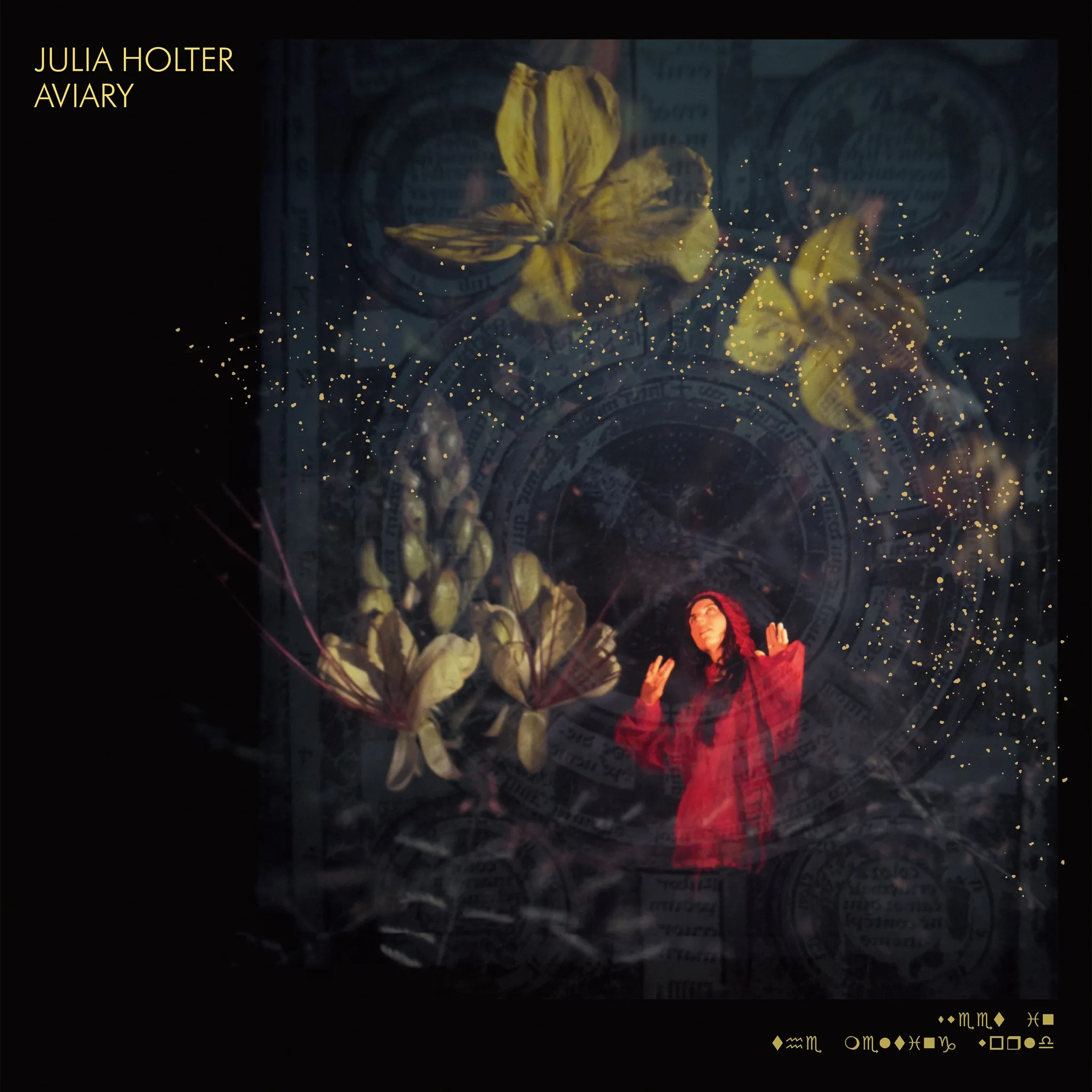 <strong>Julia Holter - Aviary</strong> (Vinyl LP)