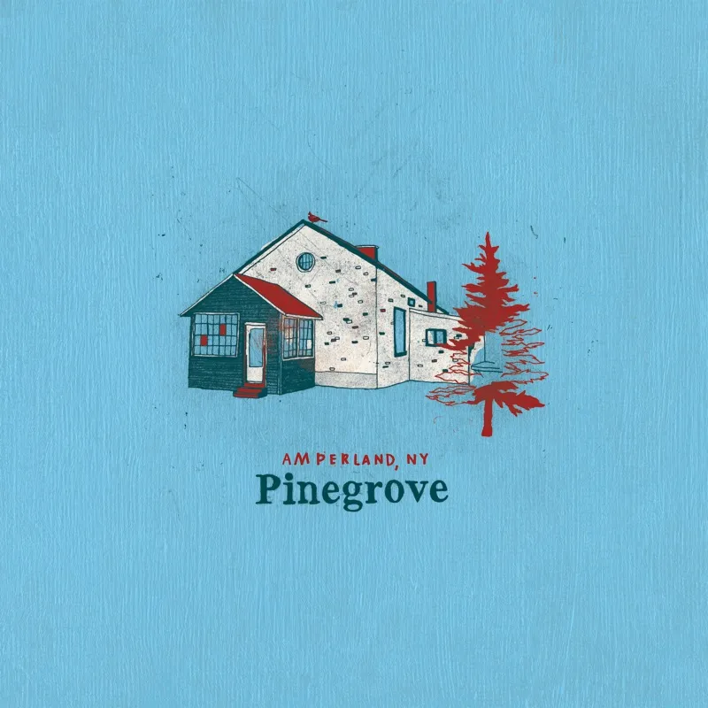 <strong>Pinegrove - Amperland, NY</strong> (Cd)