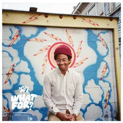 <strong>Toro Y Moi - What For?</strong> (Cd)