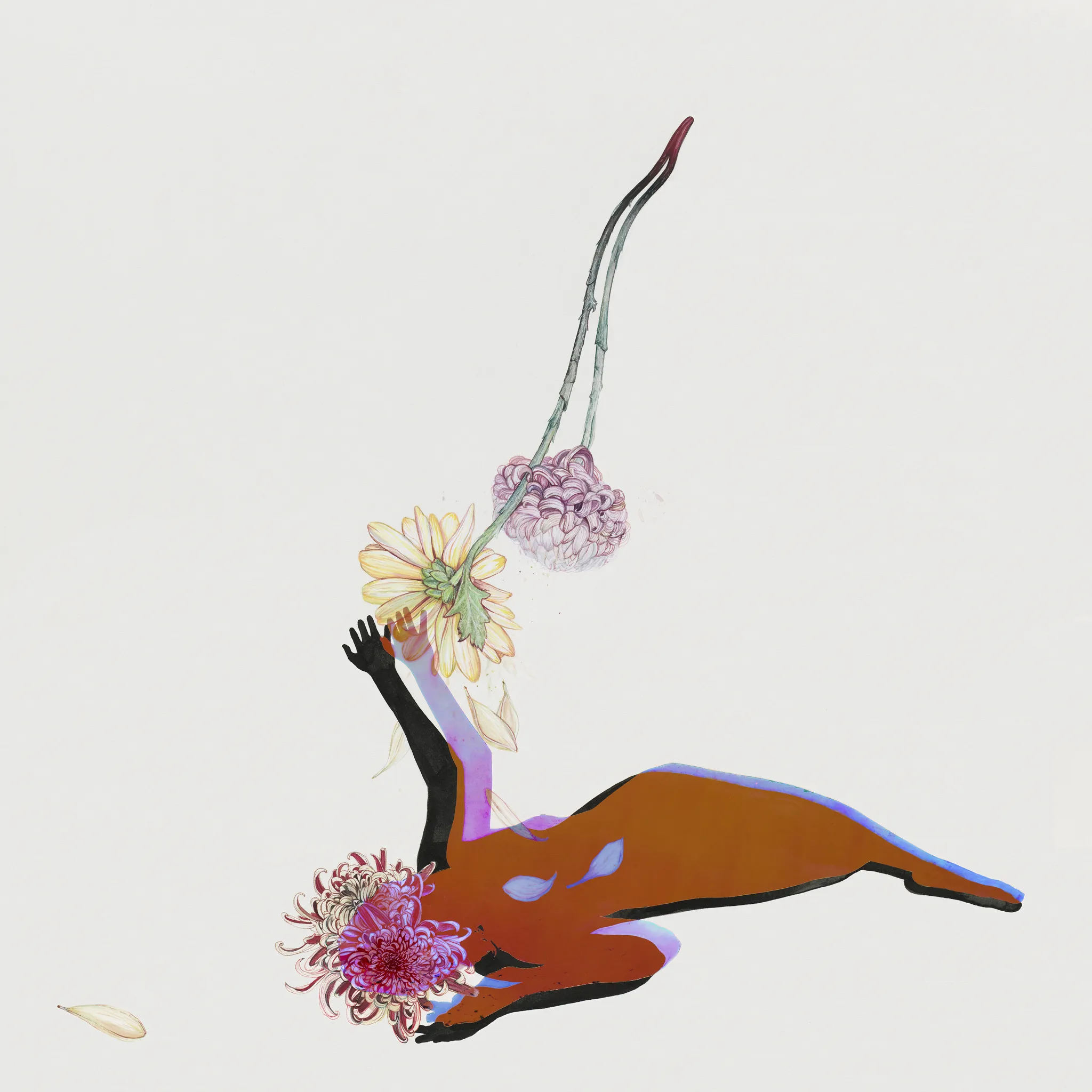 <strong>Future Islands - The Far Field</strong> (Cd)