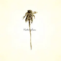 <strong>Patrick Watson - Wooden Arms</strong> (Cd)
