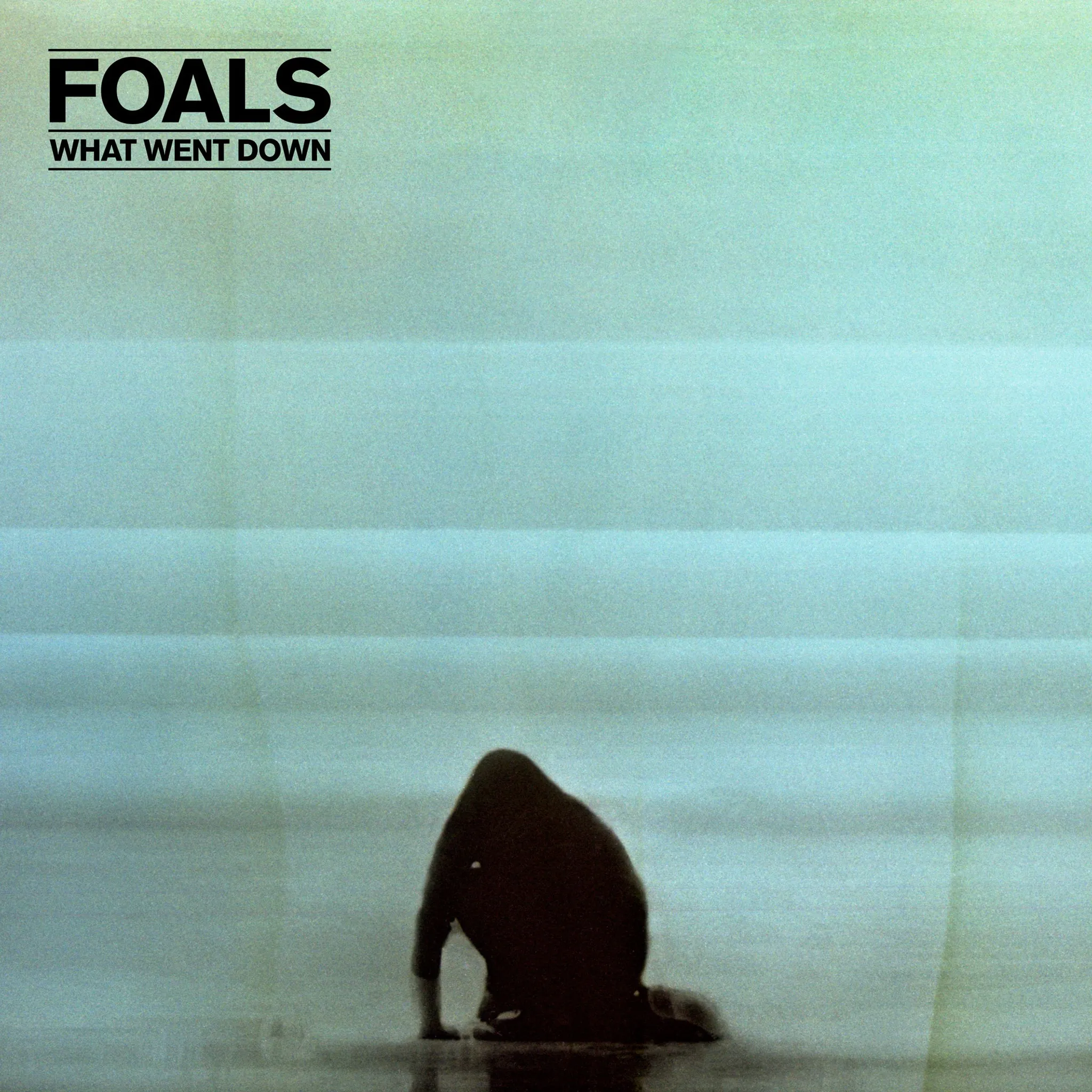 Foals - What Went Down artwork