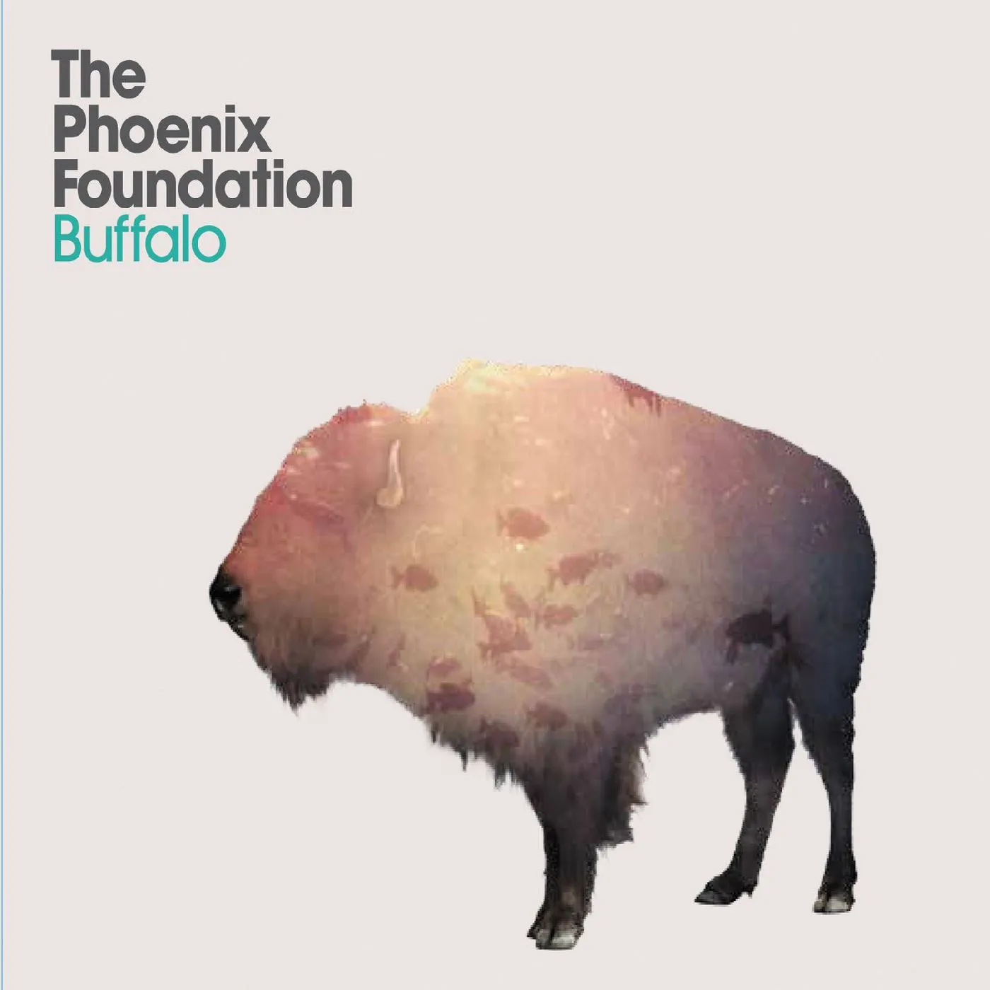 <strong>The Phoenix Foundation - Buffalo</strong> (Cd)