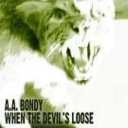 <strong>AA Bondy - When The Devil's Loose</strong> (Cd)