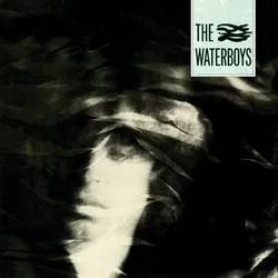 <strong>The Waterboys - The Waterboys</strong> (Cd)