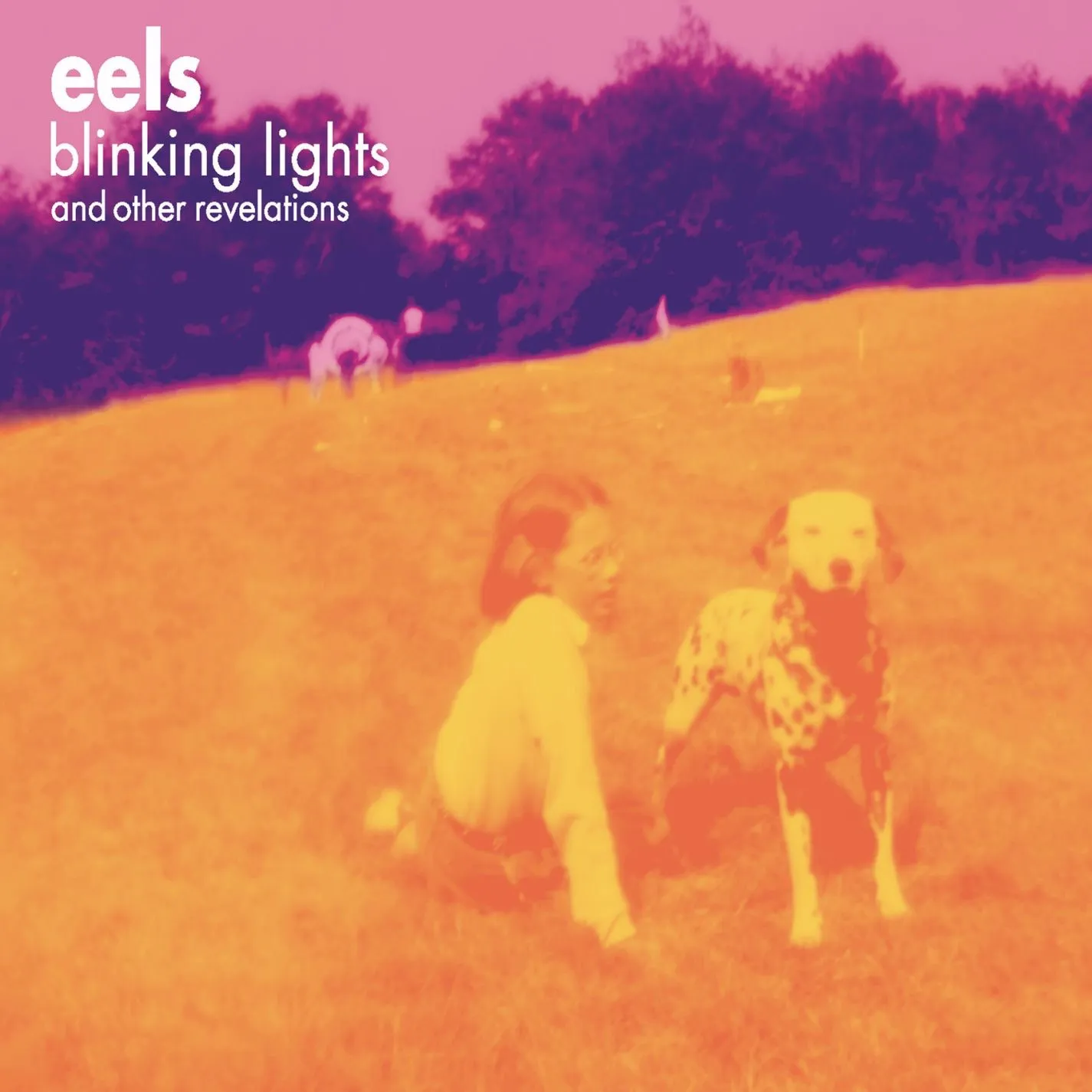 <strong>Eels - Blinking Lights and Other Revelations</strong> (Vinyl LP - violet)