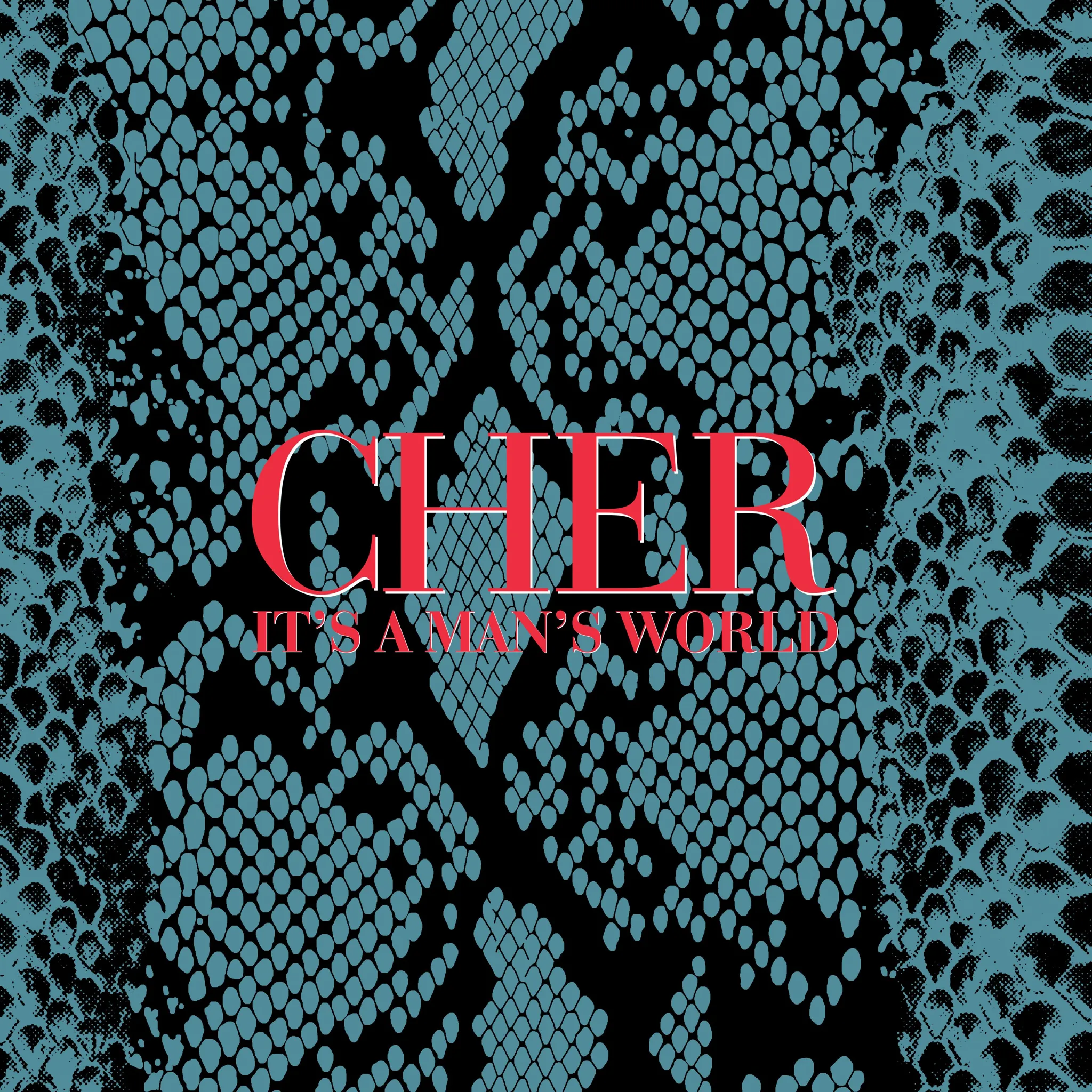 Cher - It’s a Man’s World (Deluxe Edition) artwork