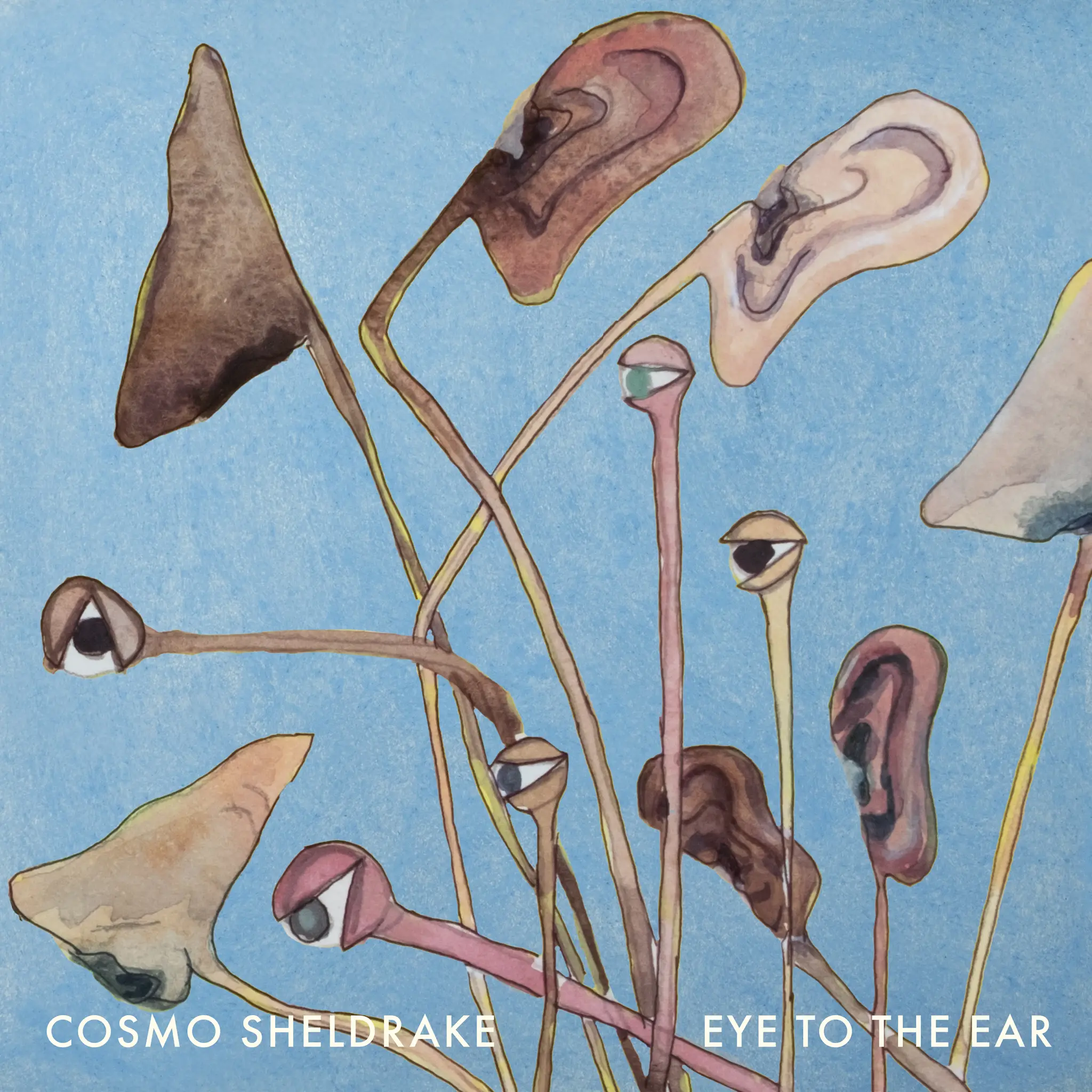 <strong>Cosmo Sheldrake - Eye To The Ear</strong> (Vinyl LP - black)