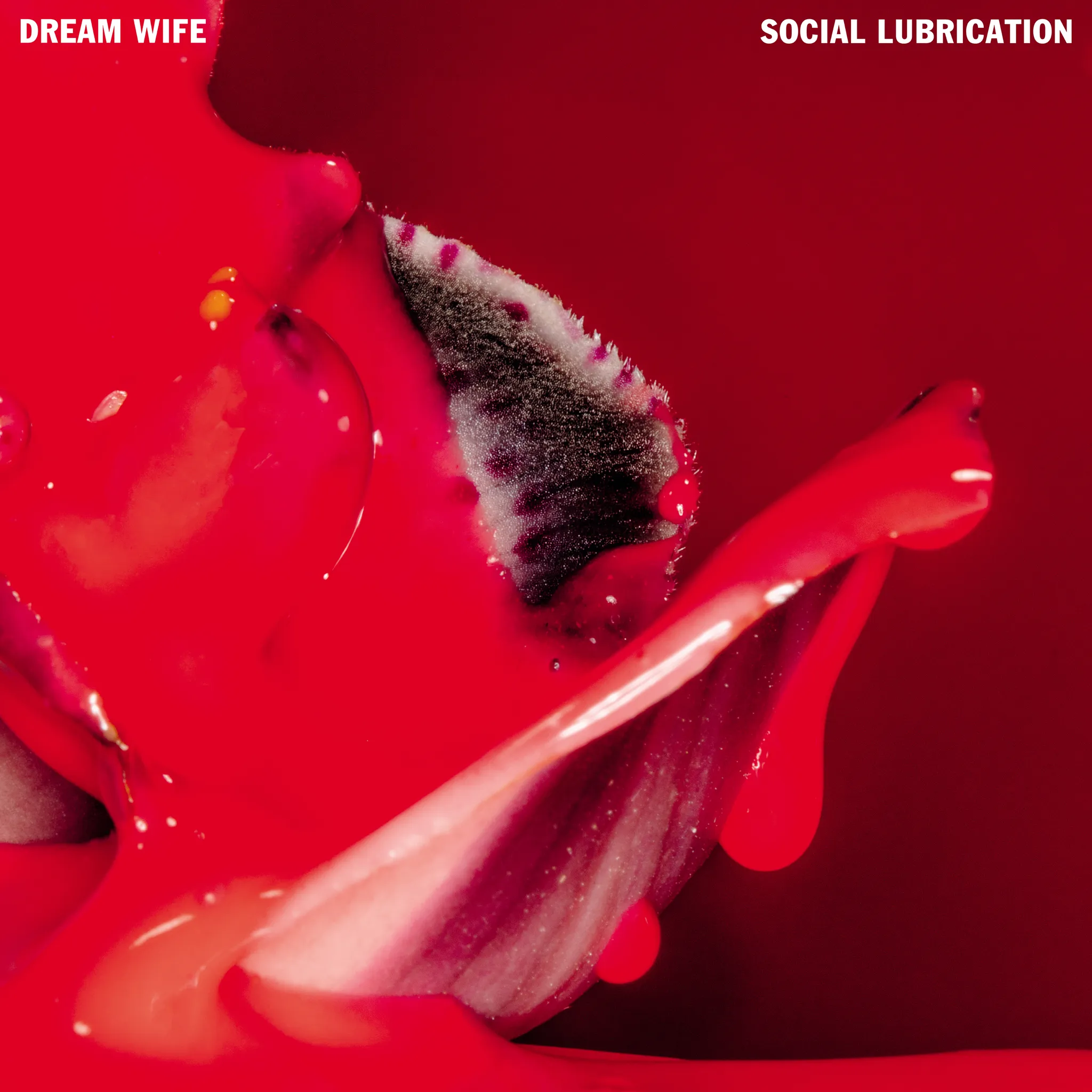 Dream Wife - Social Lubrication artwork