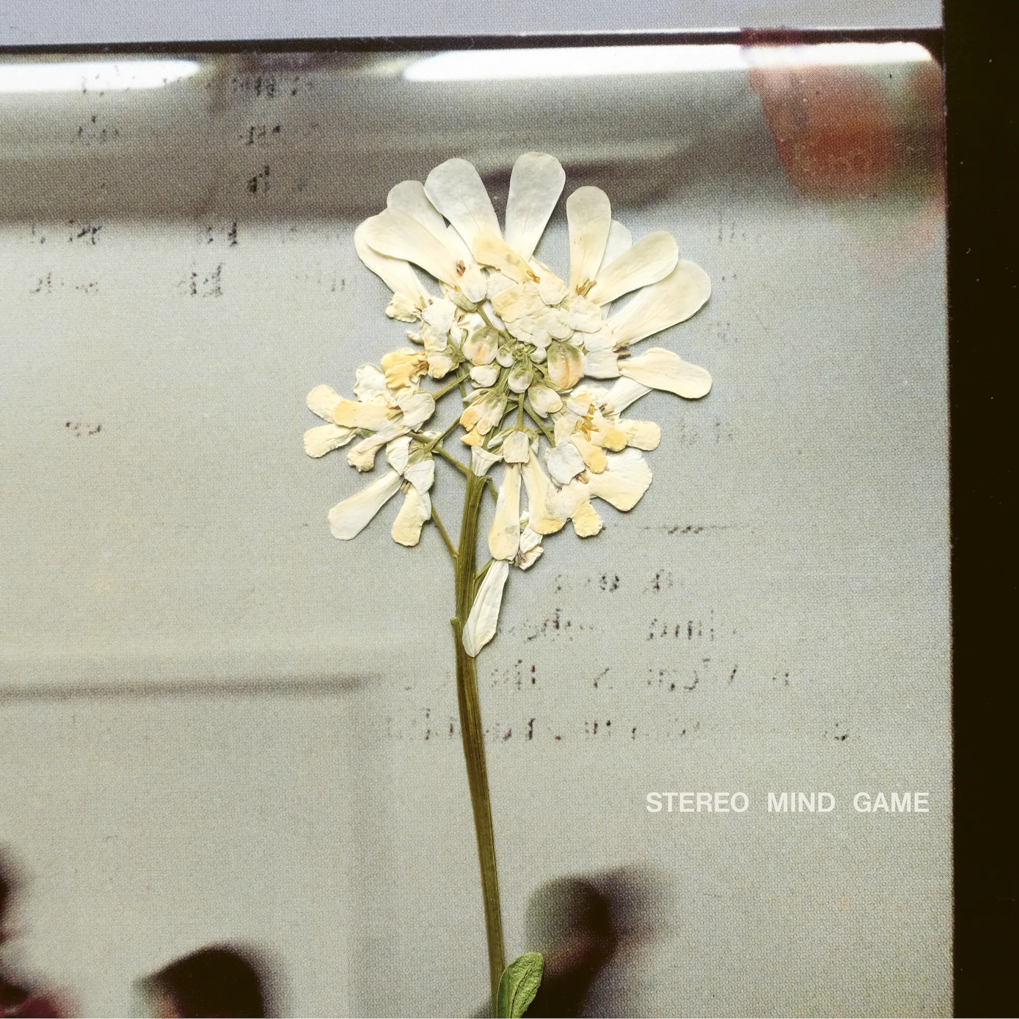 <strong>DAUGHTER - Stereo Mind Game</strong> (Vinyl LP - brown)