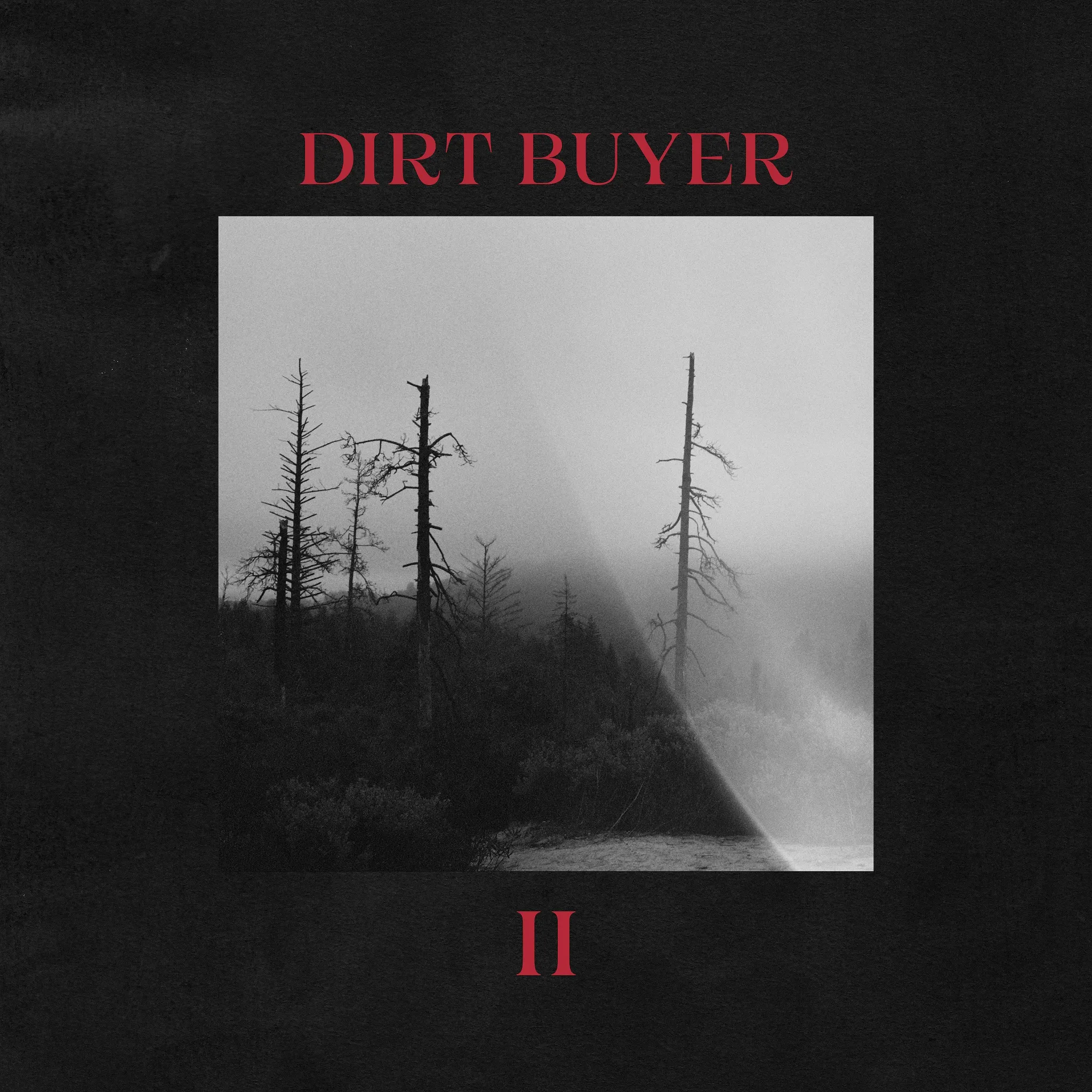 Dirt Buyer - Dirt Buyer II artwork